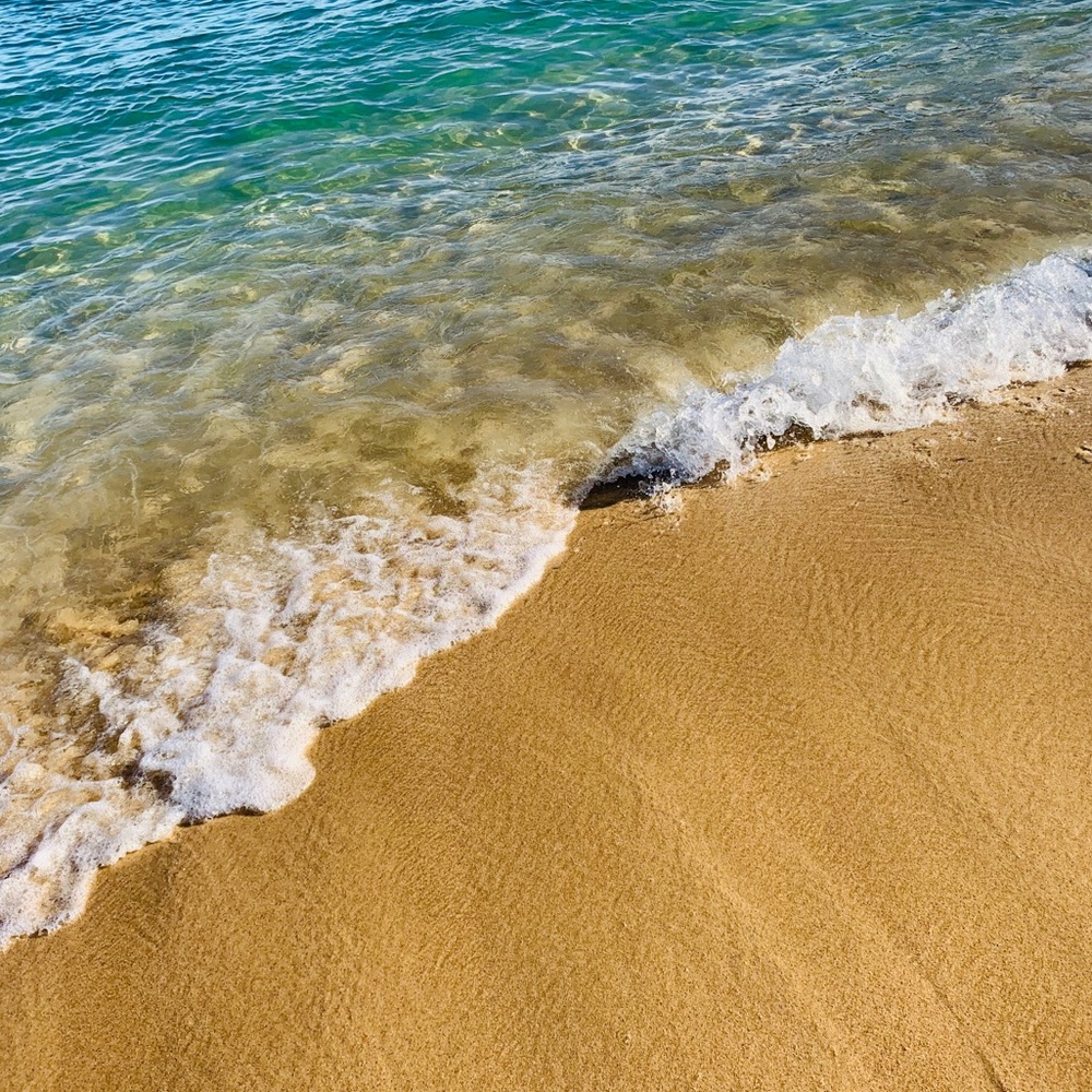 Meet your Posher, Sam